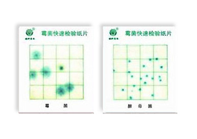 霉菌、酵母菌測試片